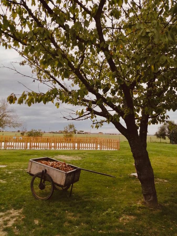 Il Bianconiglio R&B Bed & Breakfast Carraie Екстериор снимка